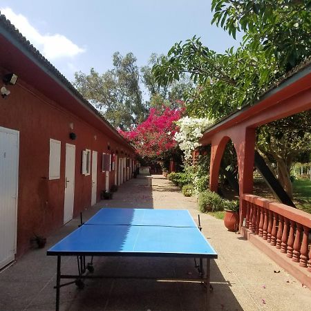 Bed and Breakfast Ferme Hippique Chtouka Dar Said Ben Hajj Exterior foto