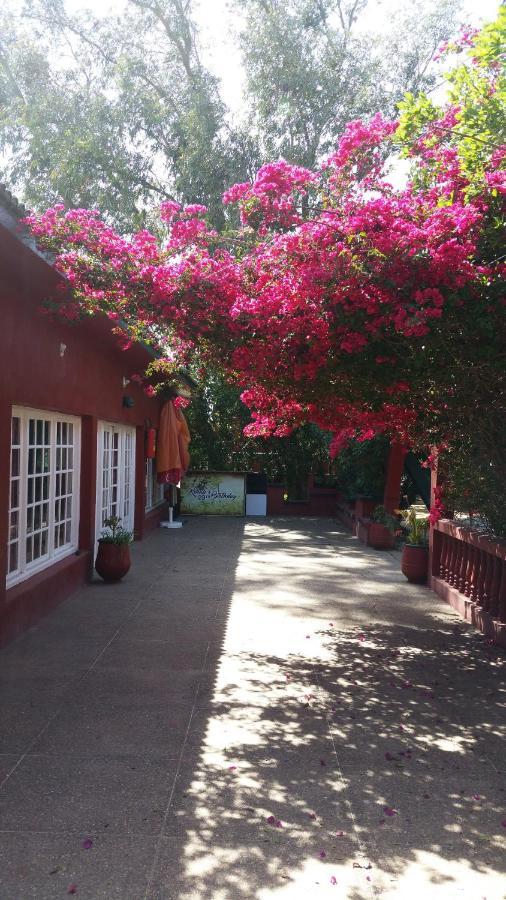 Bed and Breakfast Ferme Hippique Chtouka Dar Said Ben Hajj Exterior foto